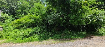 古瀬戸町山林